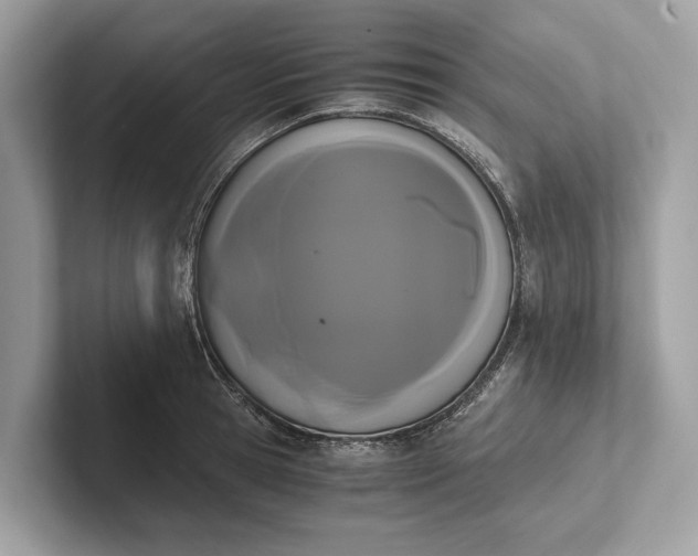 X0000101390945200807211010