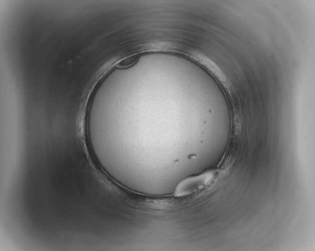 X0000101390946200807211010