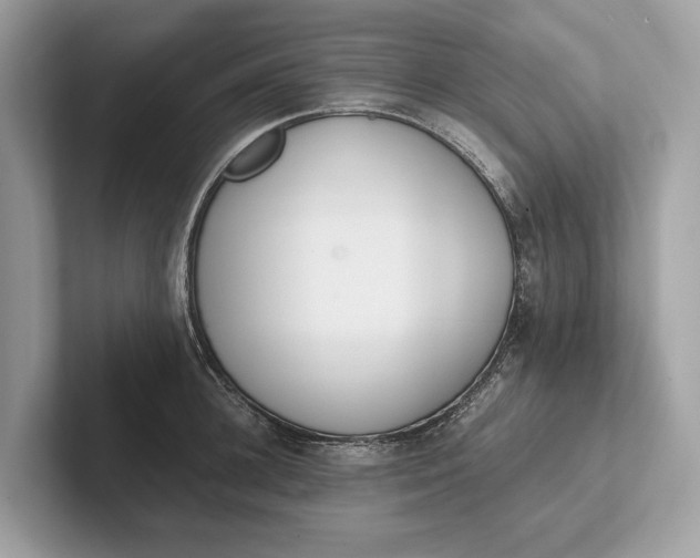 X0000101390948200807211010