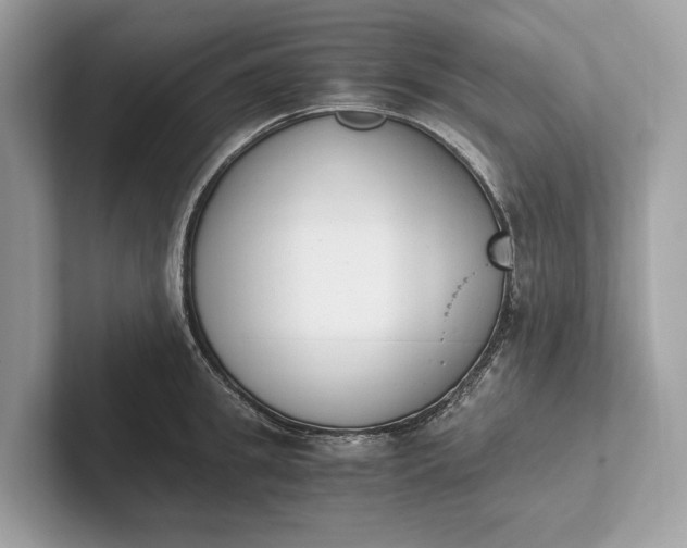 X0000101390949200807211010