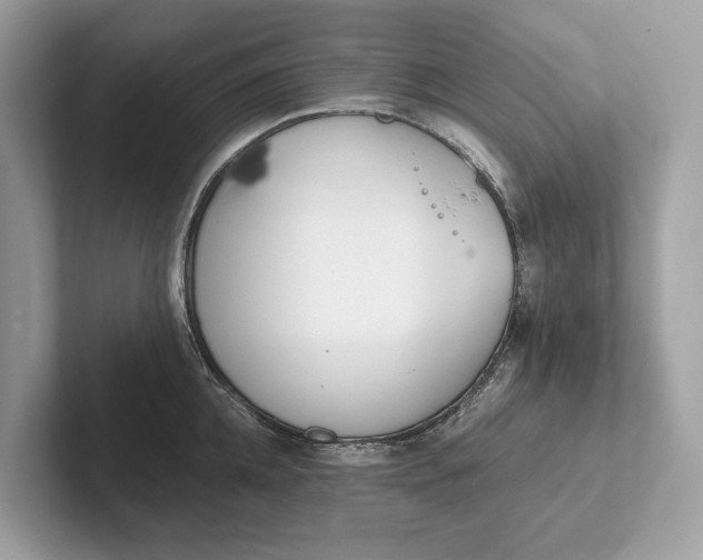 X0000101390952200807211010