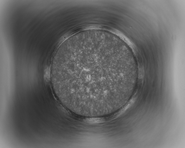 X0000101390953200807211010