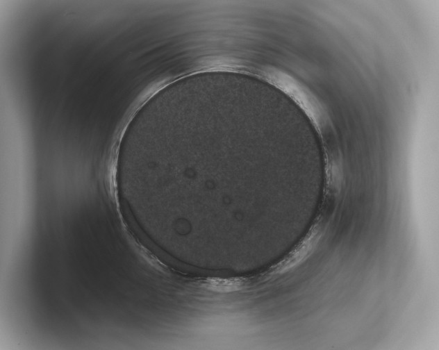 X0000101390954200807211010