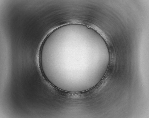 X0000101390955200807211010