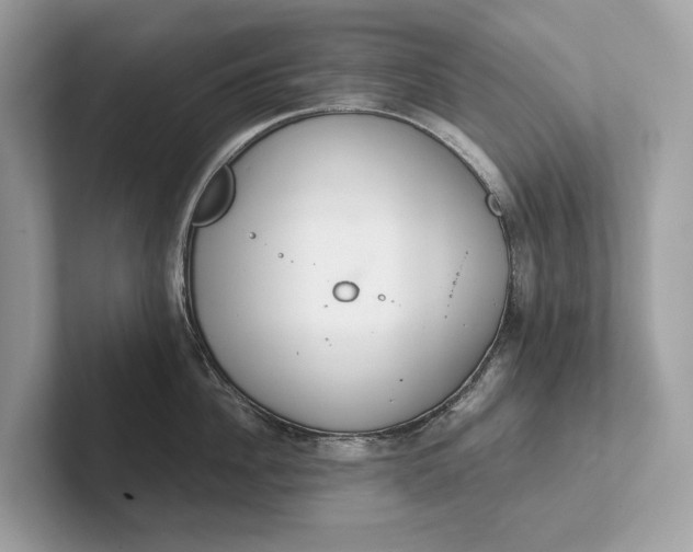 X0000101390956200807211010