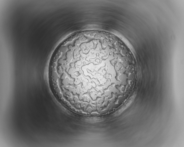 X0000101390957200807211010