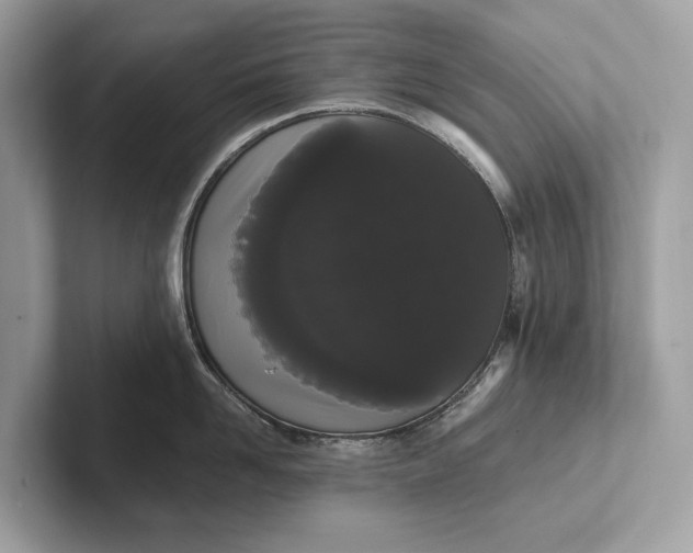 X0000101390958200807211010