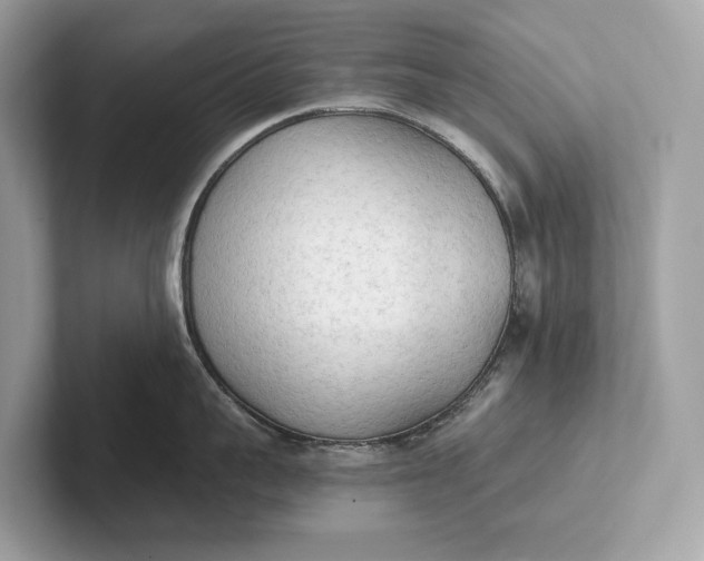 X0000101390959200807211010