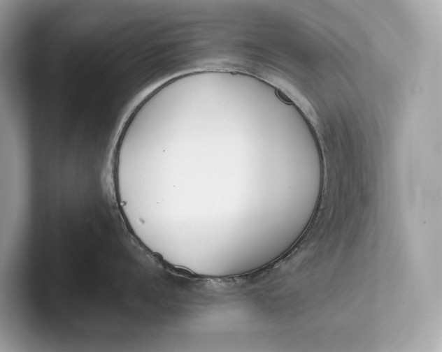 X0000101390960200807211010