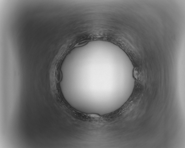 X0000101390961200807211010