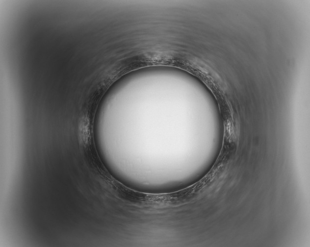 X0000101390963200807211010