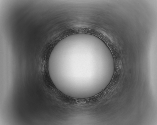 X0000101390965200807211010