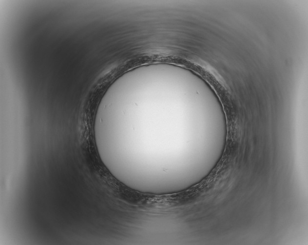 X0000101390967200807211010