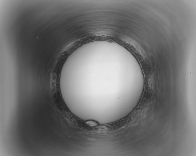 X0000101390968200807211010