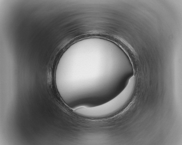 X0000101390969200807211010