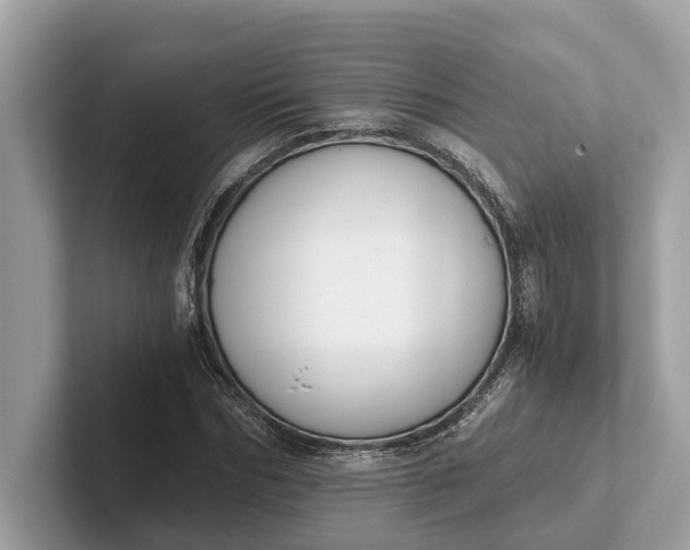 X0000101390970200807211010