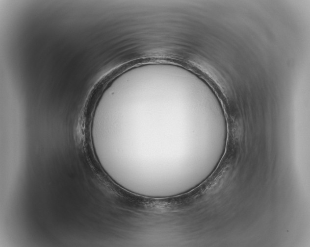 X0000101390971200807211010