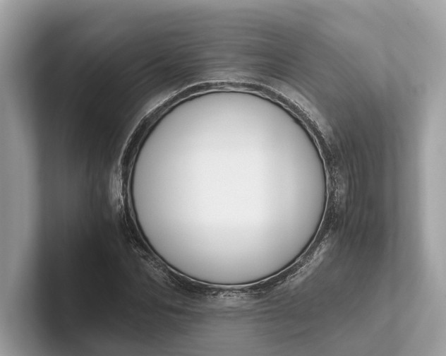 X0000101390974200807211010