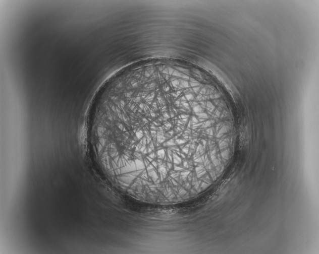 X0000101390975200807211009