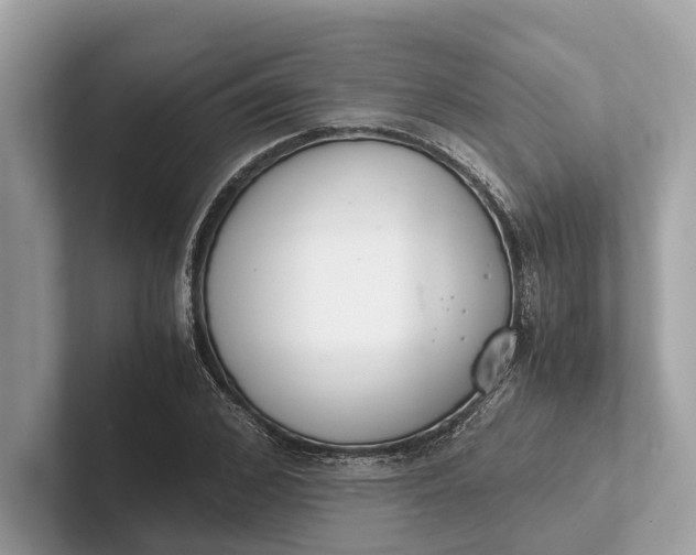 X0000101390976200807211009