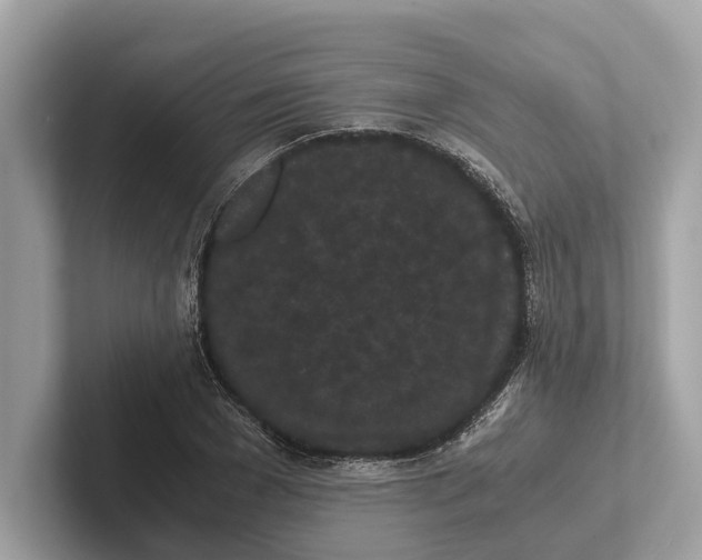 X0000101390977200807211009