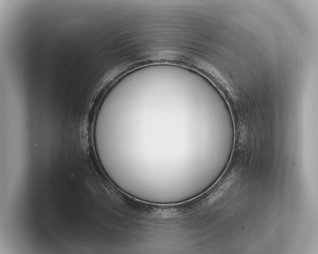 X0000101390978200807211009