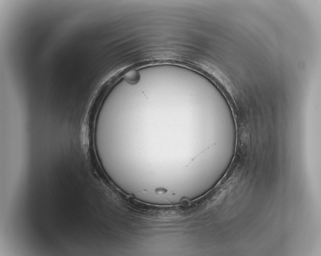 X0000101390979200807211009