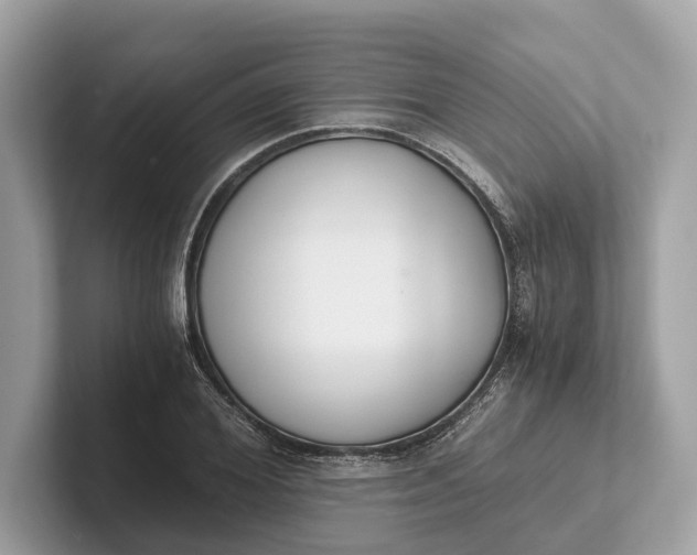 X0000101390980200807211009