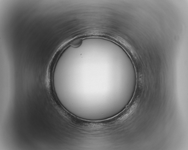 X0000101390981200807211009