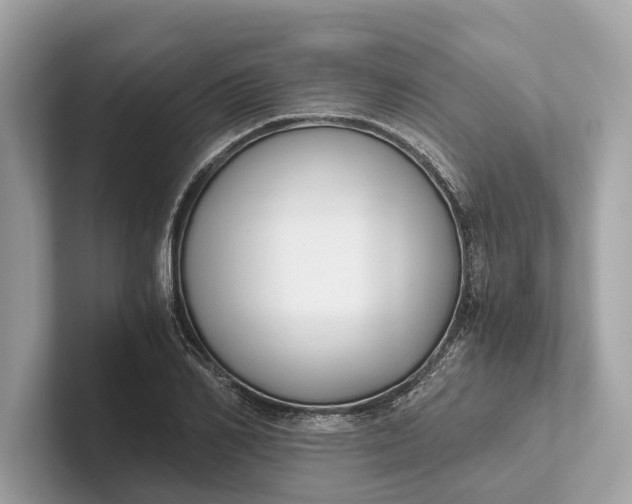 X0000101390982200807211009