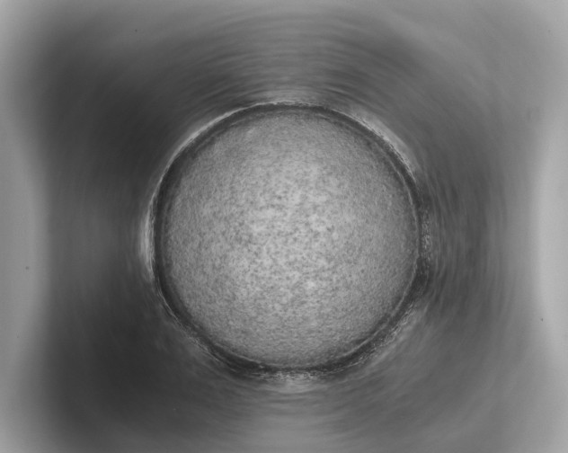 X0000101390983200807211009