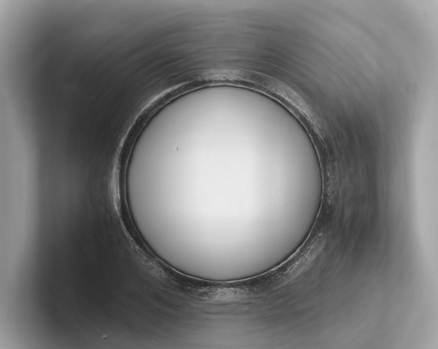 X0000101390984200807211009