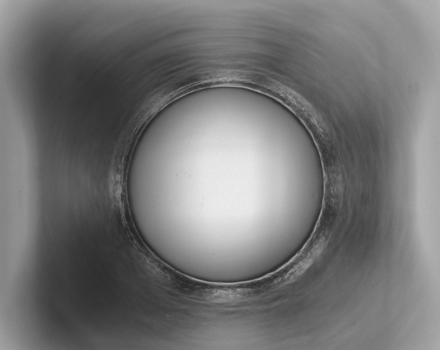 X0000101390985200807211009