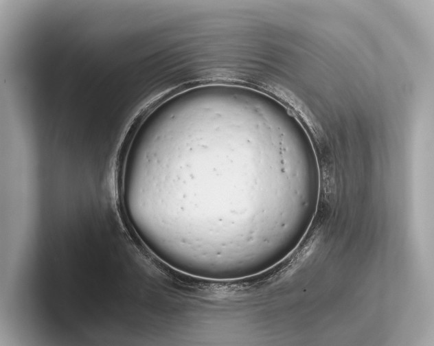 X0000101390987200807211009