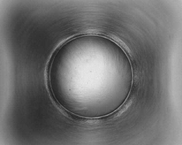 X0000101390989200807211009