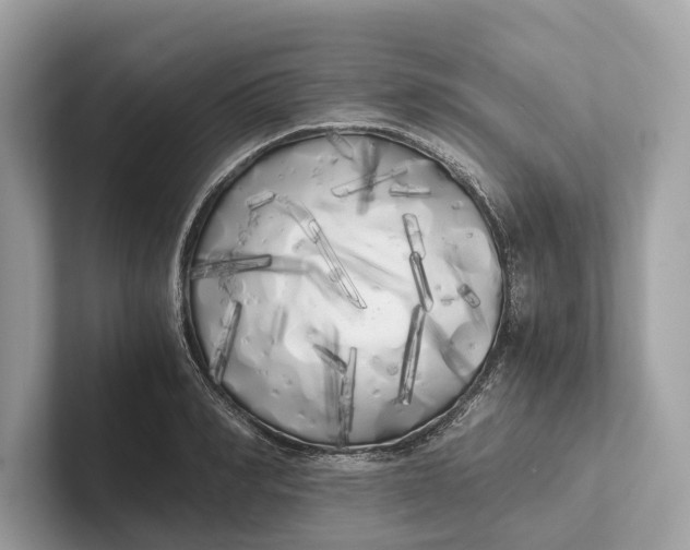 X0000101390990200807211009