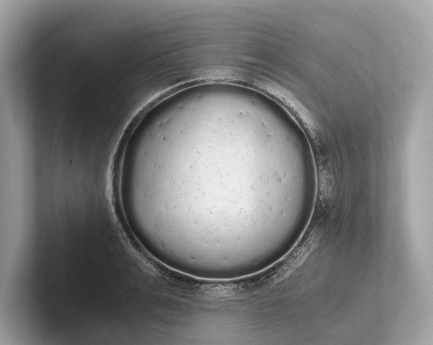 X0000101390991200807211009