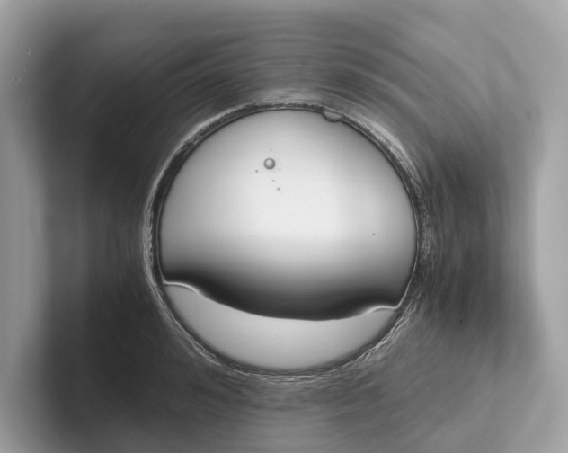 X0000101390992200807211009