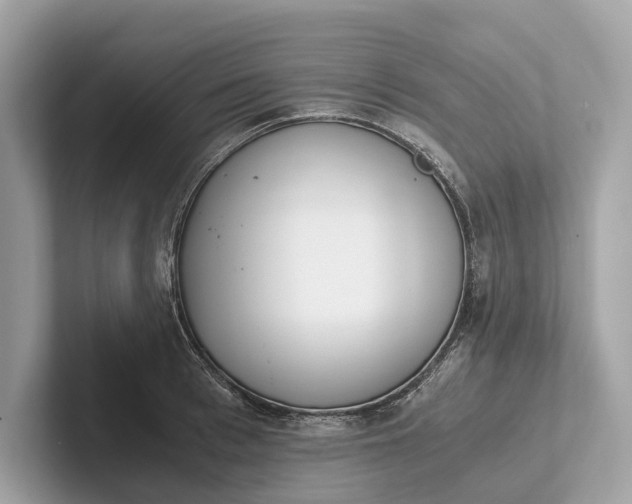 X0000101390993200807211009