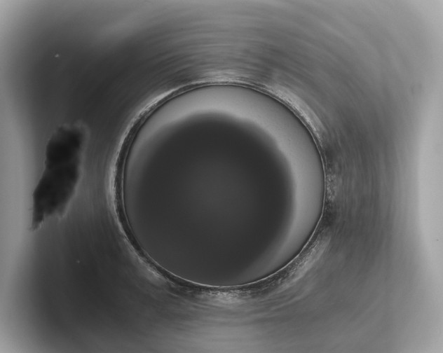 X0000101390995200807211009