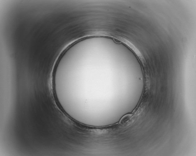 X0000101390996200807211009