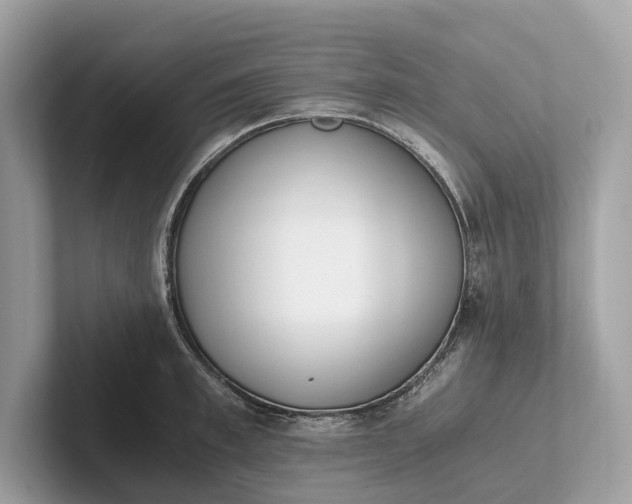 X0000101390997200807211009