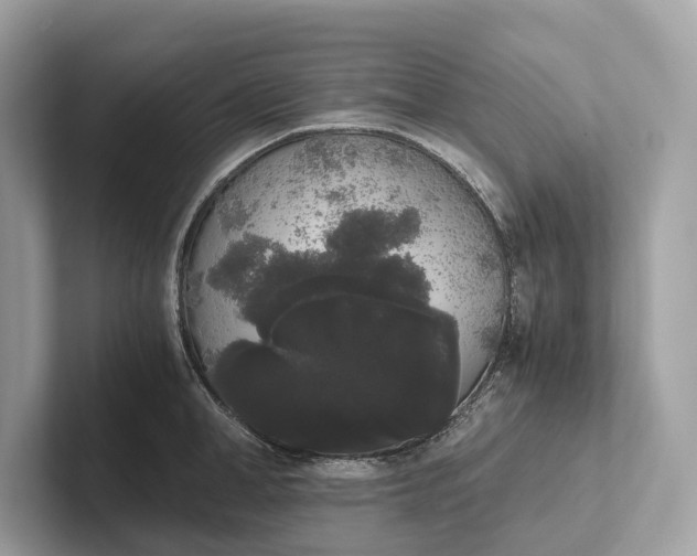 X0000101390998200807211009