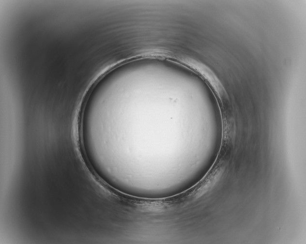 X0000101390999200807211009