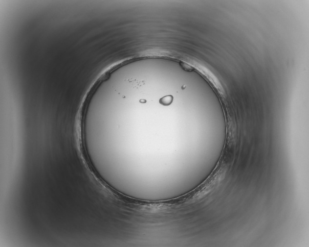 X0000101391000200807211009