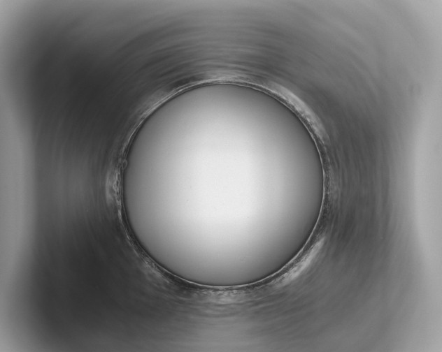 X0000101391001200807211009