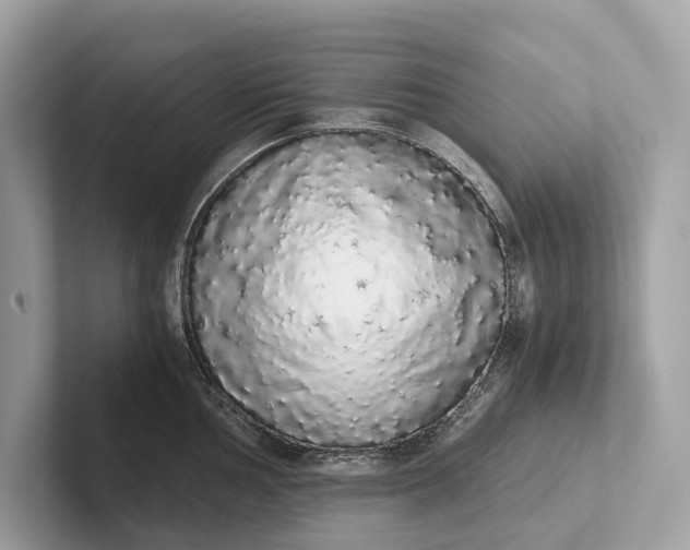 X0000101391002200807211009