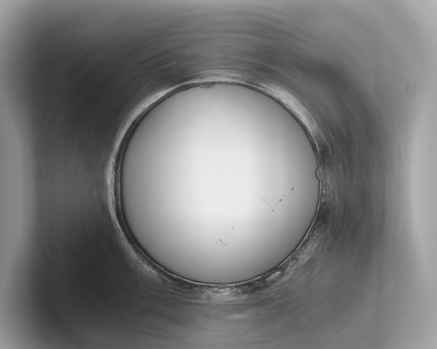 X0000101391003200807211009