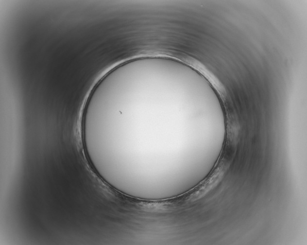 X0000101391004200807211009