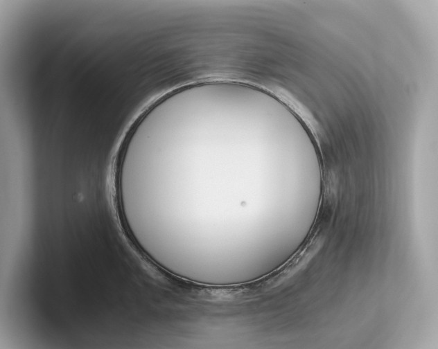 X0000101391005200807211009